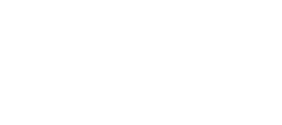 KIS customer review quote