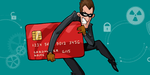 What is Bank and Credit Card Fraud